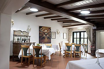 Solatube 290 DS - Restaurant Kaiserhof, Willich